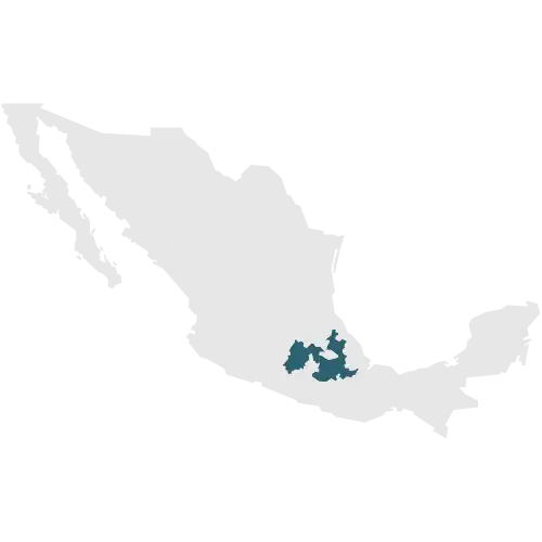 <span style="font-weight:100!important;padding-right:5px">/</span> Centro: