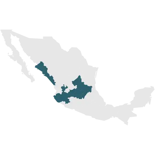 <span style="font-weight:100!important;padding-right:5px">/</span>Pacífico / Bajío: